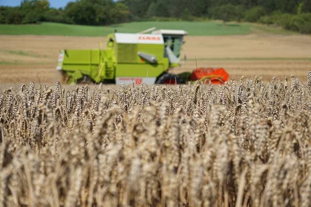 In a field in Dassel in the district of Northeim in the federal state of Lower Saxony, a Claas combine harvester drives farmers harvesting grain in the district of Northeim Einbeck