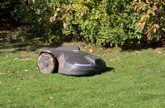 02 10 2025, Germany, NRW, lawn care, automation, robot mower on a lawn, lawn mowing, robot, Germany Copyright: xD.xKerlekin SnowfieldxPhotographyx SF021025MaehroboterD