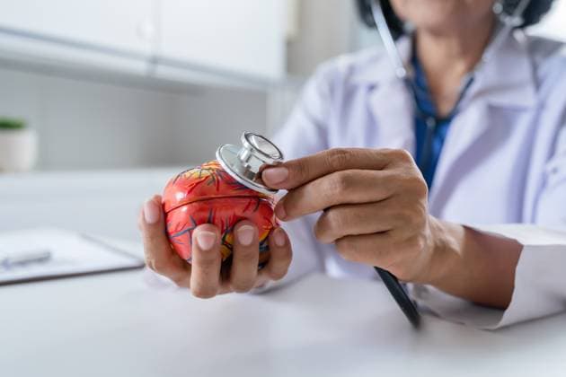 Doktor mit anatomisches Modell des menschlichen Herzens Kardiologe unterstützt das Herz. Herz diagnostizieren medizinische Checkup Kardiologe im Untersuchungsraum Doctor with anatomical model of human heart Cardiologist supports the heart. heart diagnose medical checkup cardiologist in examination room. (License=RF) ,model released, Symbolfoto Copyright: xZoonar.com SirijitxJongcharoenkulchaix 24094069 ,model released, Symbolfoto ,property released