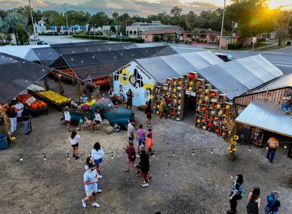 October 27, 2025, St. Petersburg, Florida, USA: An aerial drone view as the sun begins to set at GallagherÃ¢â‚¬â ¢s Pumpkins and Christmas Trees, 7401 4th St. North, on Monday, Oct. 27, 2025 in St. Petersburg. St. Petersburg USA - ZUMAs70_ 20251027_zan_s70_026 Copyright: xDirkxShaddx