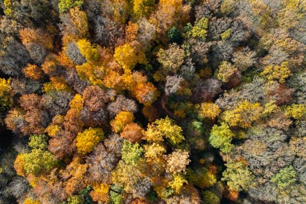 Aerial view Autumn in Siegerland Indian Summer The colorful autumn leaves shine on the trees in the sun like here near Siegen Oberschelden in the afternoon Autumn in Siegerland on 30 10 2025 in Siegen Germany