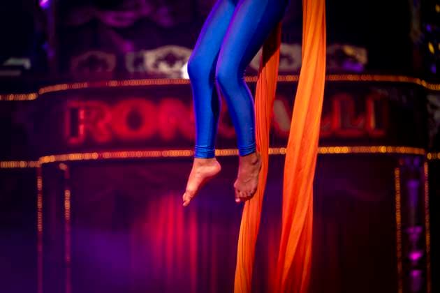 10 11 2025, Circus Roncalli, gala show by A PPLAUS Xtra youth theater circus at the Circus Theater Roncalli in Munich, artist on the trapeze 10 11 2025, Roncalli 10 11 2025, Roncalli 10 11 2025, Roncalli