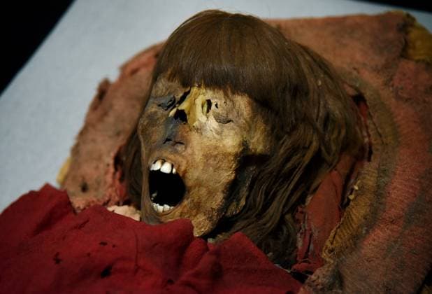 Mummies at the Museum of Mankind - Paris Mummies at the Museum of Mankind (Musee de L Homme). Mummies (Myrithis)during a media preview of the exhibition in Paris, France on November 18, 2025. Photo by Alain Apaydin ABACAPRESS Paris France  Copyright: xApaydinxAlain ABACAx