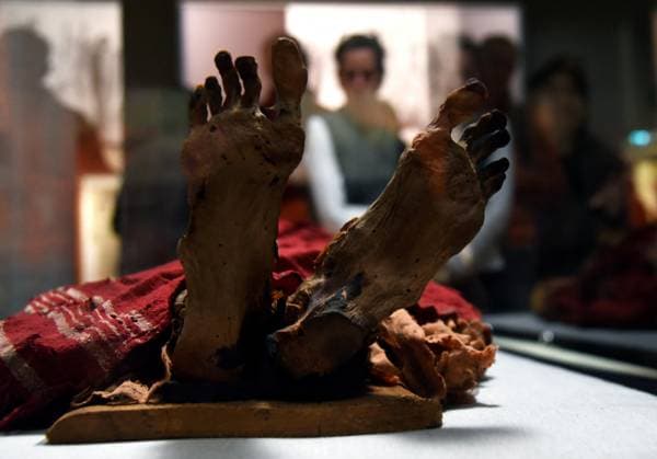 Mummies at the Museum of Mankind - Paris Mummies at the Museum of Mankind (Musee de L Homme). Mummies (Myrithis)during a media preview of the exhibition in Paris, France on November 18, 2025. Photo by Alain Apaydin ABACAPRESS Paris France  Copyright: xApaydinxAlain ABACAx