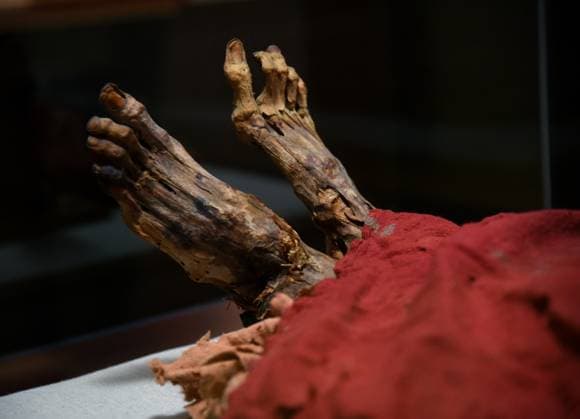 Mummies at the Museum of Mankind - Paris Mummies at the Museum of Mankind (Musee de L Homme). Mummies (Myrithis)during a media preview of the exhibition in Paris, France on November 18, 2025. Photo by Alain Apaydin ABACAPRESS Paris France  Copyright: xApaydinxAlain ABACAx