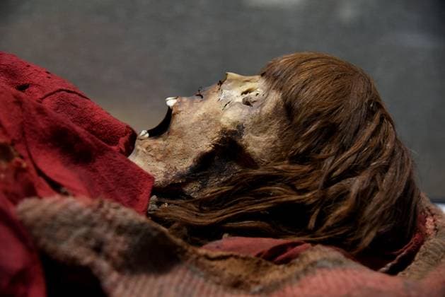 Mummies at the Museum of Mankind - Paris Mummies at the Museum of Mankind (Musee de L Homme). Mummies (Myrithis)during a media preview of the exhibition in Paris, France on November 18, 2025. Photo by Alain Apaydin ABACAPRESS Paris France  Copyright: xApaydinxAlain ABACAx