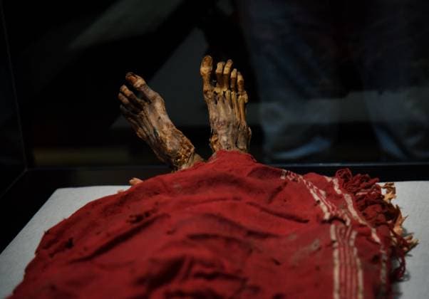 Mummies at the Museum of Mankind - Paris Mummies at the Museum of Mankind (Musee de L Homme). Mummies (Myrithis)during a media preview of the exhibition in Paris, France on November 18, 2025. Photo by Alain Apaydin ABACAPRESS Paris France  Copyright: xApaydinxAlain ABACAx