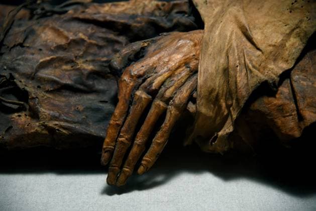 Mummies at the Museum of Mankind - Paris Mummies at the Museum of Mankind (Musee de L Homme). Mummies (La jeune femme Guanche) during a media preview of the exhibition in Paris, France on November 18, 2025. Photo by Alain Apaydin ABACAPRESS Paris France  Copyright: xApaydinxAlain ABACAx