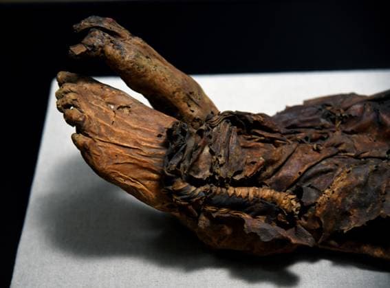 Mummies at the Museum of Mankind - Paris Mummies at the Museum of Mankind (Musee de L Homme). Mummies (La jeune femme Guanche) during a media preview of the exhibition in Paris, France on November 18, 2025. Photo by Alain Apaydin ABACAPRESS Paris France  Copyright: xApaydinxAlain ABACAx