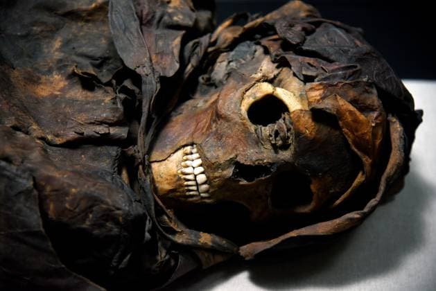 Mummies at the Museum of Mankind - Paris Mummies at the Museum of Mankind (Musee de L Homme). Mummies (La jeune femme Guanche) during a media preview of the exhibition in Paris, France on November 18, 2025. Photo by Alain Apaydin ABACAPRESS Paris France  Copyright: xApaydinxAlain ABACAx