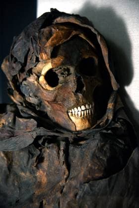 Mummies at the Museum of Mankind - Paris Mummies at the Museum of Mankind (Musee de L Homme). Mummies (La jeune femme Guanche) during a media preview of the exhibition in Paris, France on November 18, 2025. Photo by Alain Apaydin ABACAPRESS Paris France  Copyright: xApaydinxAlain ABACAx