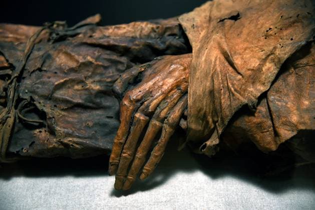 Mummies at the Museum of Mankind - Paris Mummies at the Museum of Mankind (Musee de L Homme). Mummies (La jeune femme Guanche) during a media preview of the exhibition in Paris, France on November 18, 2025. Photo by Alain Apaydin ABACAPRESS Paris France  Copyright: xApaydinxAlain ABACAx