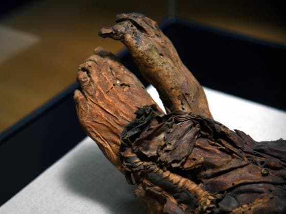 Mummies at the Museum of Mankind - Paris Mummies at the Museum of Mankind (Musee de L Homme). Mummies (La jeune femme Guanche) during a media preview of the exhibition in Paris, France on November 18, 2025. Photo by Alain Apaydin ABACAPRESS Paris France  Copyright: xApaydinxAlain ABACAx
