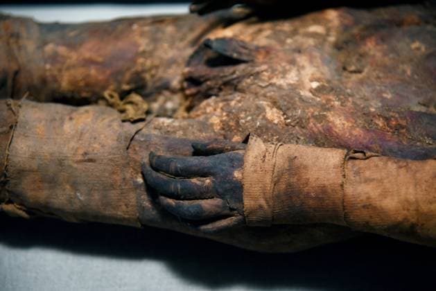 Mummies at the Museum of Mankind - Paris Mummies at the Museum of Mankind (Musee de L Homme). Mummies (Le jeune garcon des Martres-d Artiere) during a media preview of the exhibition in Paris, France on November 18, 2025. Photo by Alain Apaydin ABACAPRESS Paris France  Copyright: xApaydinxAlain ABACAx