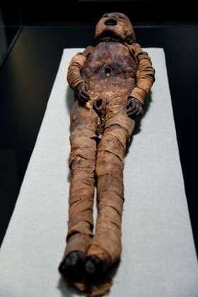 Mummies at the Museum of Mankind - Paris Mummies at the Museum of Mankind (Musee de L Homme). Mummies (Le jeune garcon des Martres-d Artiere) during a media preview of the exhibition in Paris, France on November 18, 2025. Photo by Alain Apaydin ABACAPRESS Paris France  Copyright: xApaydinxAlain ABACAx