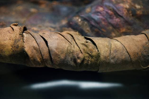 Mummies at the Museum of Mankind - Paris Mummies at the Museum of Mankind (Musee de L Homme). Mummies (Le jeune garcon des Martres-d Artiere) during a media preview of the exhibition in Paris, France on November 18, 2025. Photo by Alain Apaydin ABACAPRESS Paris France  Copyright: xApaydinxAlain ABACAx