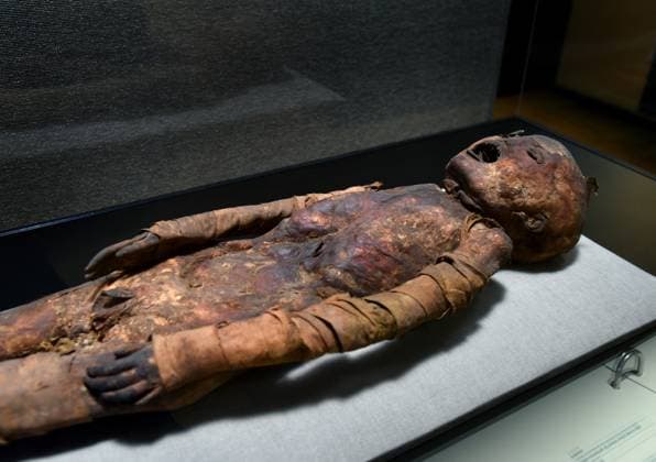 Mummies at the Museum of Mankind - Paris Mummies at the Museum of Mankind (Musee de L Homme). Mummies (Le jeune garcon des Martres-d Artiere) during a media preview of the exhibition in Paris, France on November 18, 2025. Photo by Alain Apaydin ABACAPRESS Paris France  Copyright: xApaydinxAlain ABACAx
