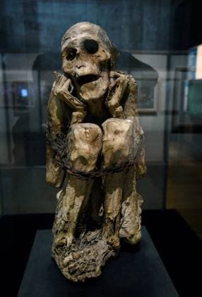 Mummies at the Museum of Mankind - Paris Mummies at the Museum of Mankind (Musee de L Homme). Mummies (L homme Chachapoya) during a media preview of the exhibition in Paris, France on November 18, 2025. Photo by Alain Apaydin ABACAPRESS Paris France  Copyright: xApaydinxAlain ABACAx