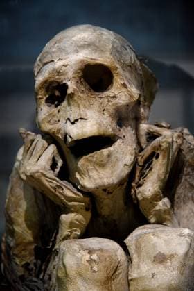 Mummies at the Museum of Mankind - Paris Mummies at the Museum of Mankind (Musee de L Homme). Mummies (L homme Chachapoya) during a media preview of the exhibition in Paris, France on November 18, 2025. Photo by Alain Apaydin ABACAPRESS Paris France  Copyright: xApaydinxAlain ABACAx