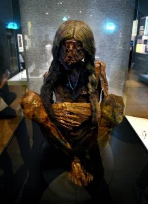Mummies at the Museum of Mankind - Paris Mummies at the Museum of Mankind (Musee de L Homme). Mummies (La jeune femme des Andes) during a media preview of the exhibition in Paris, France on November 18, 2025. Photo by Alain Apaydin ABACAPRESS Paris France  Copyright: xApaydinxAlain ABACAx