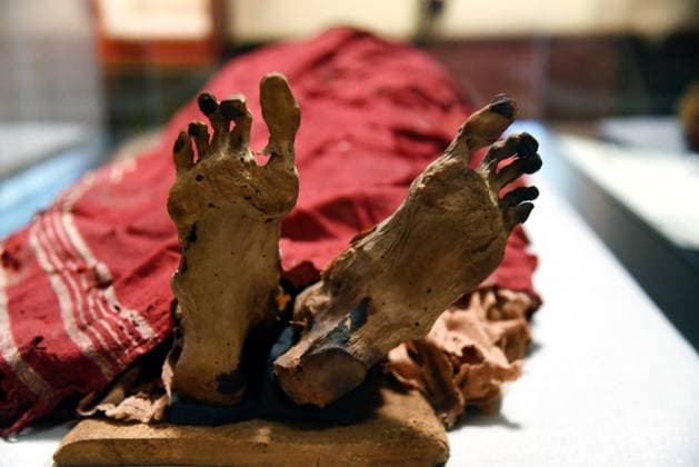 Mummies at the Museum of Mankind - Paris Mummies at the Museum of Mankind (Musee de L Homme). Mummies (Myrithis)during a media preview of the exhibition in Paris, France on November 18, 2025. Photo by Alain Apaydin ABACAPRESS Paris France  Copyright: xApaydinxAlain ABACAx