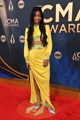 59th Annual CMA Awards - Arrivals Sacha arriving at the 59th Annual Country Music Association Awards held at the Bridgestone Arena on November 19, 2025 in Nashville, TN. Nashville Bridgestone Arena Tennessee USA Copyright: xOConnor-Arroyo AFF-USA.comx