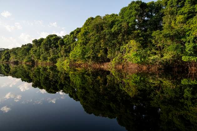 Amazon rainforest and Negro River landscape in Anavilhanas Archipelago Novo Airão, Amazonas, Brazil CR_GNUJ251121H-1897934-01