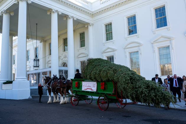 November 24, 2025, Washington, District of Columbia, United States: First Lady MELANIA TRUMP welcomes the White House Christmas Tree to the White House on November 24, 2025 Washington United States - ZUMAl312 20251124_znp_l312_018 Copyright: xAndrewxLeydenx