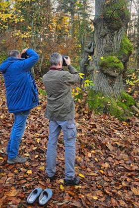 Nature Art Burkhard Schubert, Tschiponnique Skupin and model Tatjana Heinz at the fall photo shoot in the Klütwald Hameln, 26 11 2025 Bodyart artist Jörg Düsterwald Foto:xJ.xDüsterwaldx xFuturexImagex herbst_5101