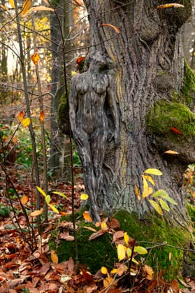 Nature Art Autumn bodypainting and photo shoot with model Tatjana Heinz in the Klütwald Hameln, 26 11 2025 Bodyart artist Jörg Düsterwald Foto:xT.xSkupinx xFuturexImagex herbst_5106
