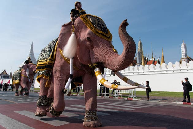 November 27, 2025, Bangkok, Thailand: Mahouts and the elephants march to pay respect to the Queen Mother Sirikit outside the Royal Grand Palace in Bangkok. Mahouts and the elephants from Ayutthaya Elephant Palace travel from Ayutthaya to Bangkok to pay respect for the Queen Mother Sirikit at the Royal Grand Palace in Bangkok. The Queen Mother Sirikit died at the age of 93 on 24 October 2025 at the Chulalongkorn Hospital. Bangkok Thailand - ZUMAs197 20251127_aaa_s197_006 Copyright: xPeeraponxBoonyakiatx