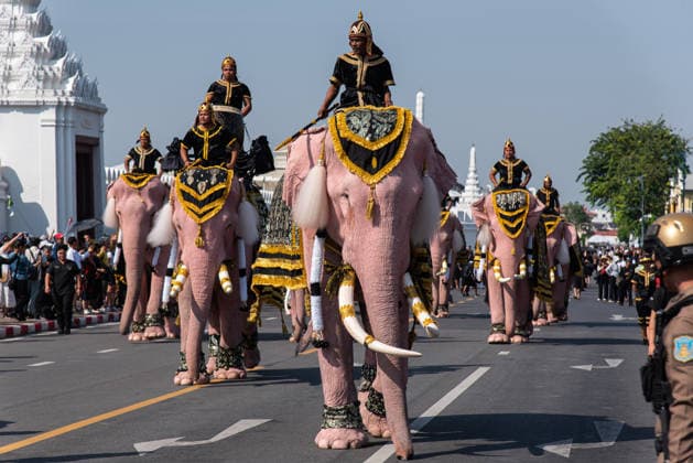November 27, 2025, Bangkok, Thailand: Mahouts and the elephants march to pay respect to the Queen Mother Sirikit outside the Royal Grand Palace in Bangkok. Mahouts and the elephants from Ayutthaya Elephant Palace travel from Ayutthaya to Bangkok to pay respect for the Queen Mother Sirikit at the Royal Grand Palace in Bangkok. The Queen Mother Sirikit died at the age of 93 on 24 October 2025 at the Chulalongkorn Hospital. Bangkok Thailand - ZUMAs197 20251127_aaa_s197_012 Copyright: xPeeraponxBoonyakiatx