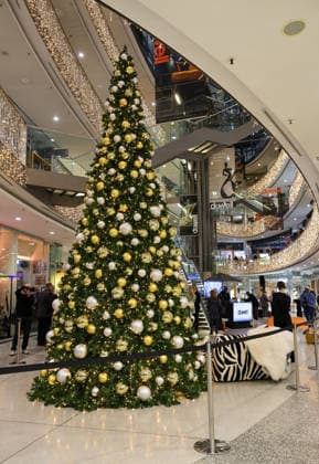 DÜWELL Public Opening Event A beautiful Christmas tree stands in the entrance area of the center Düsseldorf DÜWELL NRW Germany