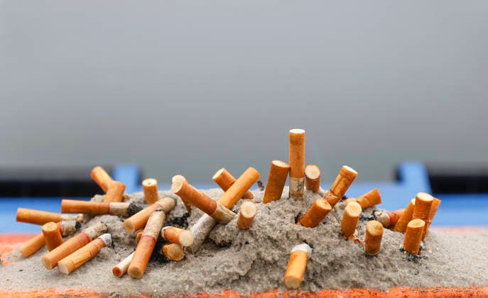 Cigarettes Close-up of cigarette butts stuck in ash and sand, 27 11 2025 Scharbeutz Schleswig Holstein Germany