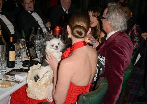 Boisdale Cigar Awards 2025, Boisdale of Canary Wharf, London 01-12-2025 David Haye and Sian Osborne with their pet Chihuahua seen at the Boisdale Cigar Awards 2025, Boisdale of Canary Wharf, London 01-12-2025, Credit:Jules Annan Avalon  Copyright: xJulesxAnnanx xAvalonx 1055877225