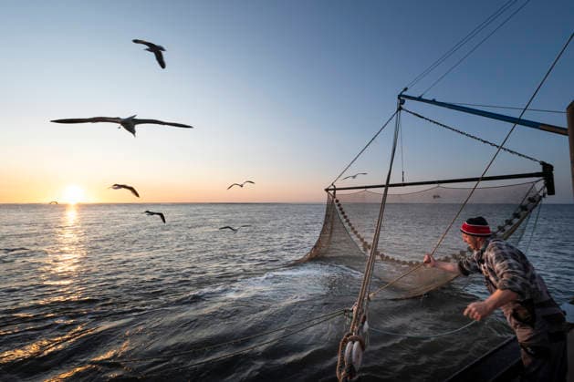 Fishing Crab cutter Nixe II on a fishing trip in the North Sea off Dorum Fisherman Stephan Hellberg 58 is chairman of the Dorumer Tief fishing association There are currently ten crab cutters and around 20 crab fishermen on the Wurster North Sea coast Dorum North Sea, Outer Weser Lower Saxony Germany