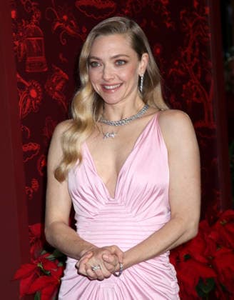 The Housemaid New York Premiere Amanda Seyfried attending The Housemaid New York Premiere held at 787 on Seventh on December 2, 2025 in New York City, NY New York City 787 on Seventh NY USA Copyright: xStevenxBergman AFF-USA.COMx