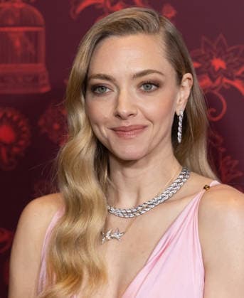 Celebrities attend the New York screening of The Housemaid Featuring: Amanda Seyfried Where: New York, New York, United States When: 02 Dec 2025 Credit: Janet Mayer INSTARimages.com EDITORIAL USE ONLY. NOT FOR USE BY NEWSPAPERS BASED IN THE UK. Copyright: xx instar55309648