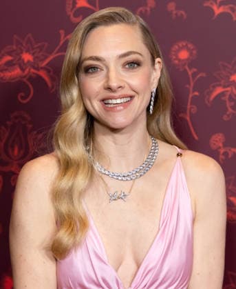 Celebrities attend the New York screening of The Housemaid Featuring: Amanda Seyfried Where: New York, New York, United States When: 02 Dec 2025 Credit: Janet Mayer INSTARimages.com EDITORIAL USE ONLY. NOT FOR USE BY NEWSPAPERS BASED IN THE UK. Copyright: xx instar55309649