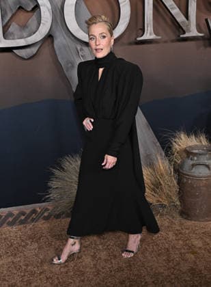 ˜The Abandons™ Premiere Gillian Anderson arriving to Netflix™s The Abandons™ premiere held at the Netflix Tudum Theater on December 3, 2025 in Hollywood, Ca. Hollywood Netflix Tudum Theater California USA Copyright: xStarbuck AFF-USA.COMx