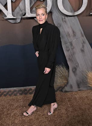 ˜The Abandons™ Premiere Gillian Anderson arriving to Netflix™s The Abandons™ premiere held at the Netflix Tudum Theater on December 3, 2025 in Hollywood, Ca. Hollywood Netflix Tudum Theater California USA Copyright: xStarbuck AFF-USA.COMx
