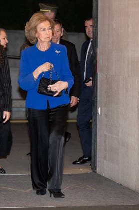 Queen Sofia of Spain at the IV Palarq National Award for archaeology and paleontology in Madrid - 04 Dec 2025 Queen Sofia attends the IV Palarq National Award for archaeology and paleontology at the National Archaeological Museum in Madrid. Madrid Spain Copyright: xAtilanoxGarciax xSOPAxImagesx photo02288