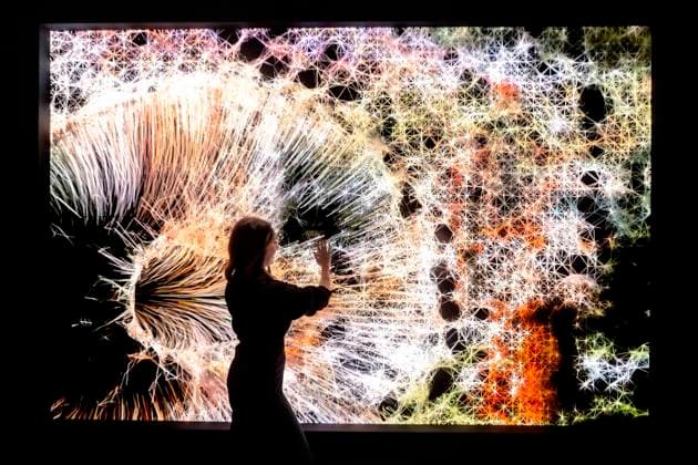 December 05, 2025 - Miami Beach, Florida, USA - The interactive digital work entitled No Me Olvides by artist Ix Shells at the 2025 Art Basel Miami Beach. Miami Beach USA - ZUMAce6_ 20251205_zaf_ce6_003 Copyright: xBrianxCahnx