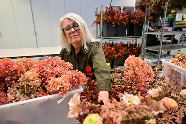 HelÃ n Magnusson, head florist at Hässelby Blommor, during a press presentation of this year s floral decorations ahead of the Nobel Prize ceremony, in Stockholm Sweden on December 06, 2025 STOCKHOLM SWEDEN x10658x  Copyright: xMagnusxLejhall TTx NOBEL PRIZE FLOWERS dVMf54qSXEQ