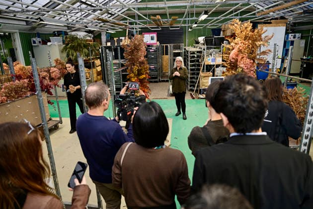 HelÃ n Magnusson, head florist at Hässelby Blommor, during a press presentation of this year s floral decorations ahead of the Nobel Prize ceremony, in Stockholm Sweden on December 06, 2025 STOCKHOLM SWEDEN x10658x  Copyright: xMagnusxLejhall TTx NOBEL PRIZE FLOWERS Rf4mDLfD1U0