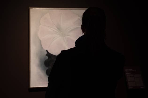 Sotheby s Icons and Bing Crosby Exhibitions press preview A visitor examines Georgia O Keeffe Black Petunia and White Morning Glory sold for more than 4 million dollars on view during press preview at Sotheby s Icons and Bing Crosby Exhibitions in New York, NY on December 13, 2025. New York New York United States Copyright: LevxRadin