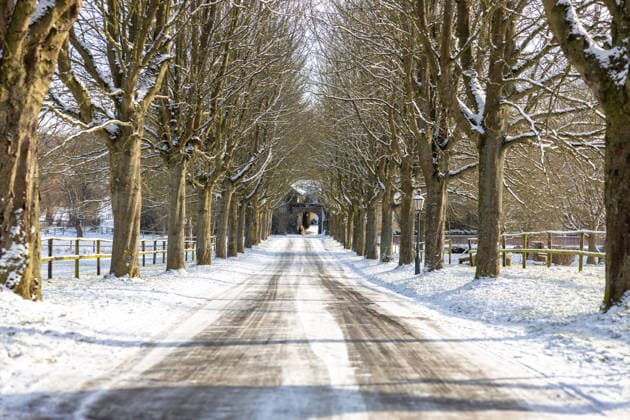 Winter landscape in the Rhineland in Bonn Snow-covered avenue on the Rodderberg south of Bonn The tree-lined path leads through the crater of the former volcano towards Gut Broichhof Snow on the road and branches as well as the clear winter light characterize the quiet, rural winter atmosphere in the Wachtberg Niederbachem nature reserve North Rhine-Westphalia Ger Copyright: xMarcxJohnx