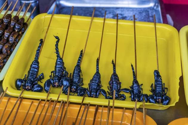 Gebratene, gebratene und rohe Insekten, Seidenraupen, Skorpione, Käfer am Stiel als Imbiss in China Roasted, fried and raw insects, silkworms, scorpions, bugs on stick as snack street food in China Copyright: imageBROKER DawidxKalisinski ibxiqx16132628.jpg