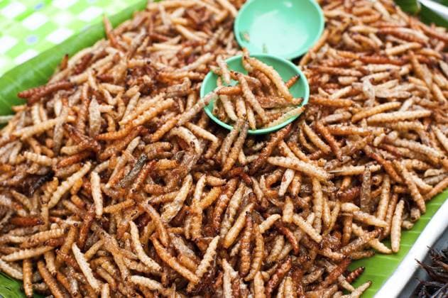 Thailändisches Essen auf dem Markt. Gebratene Insekten, Mehlwürmer als Zwischenmahlzeit Thai food at market. Fried insects mealworms for snack Copyright: imageBROKER @xImxPerfectxLazybon ibxiqx16180767.jpg