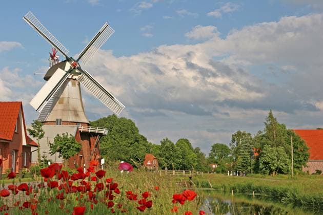 Mohnblumenwiese, ostfriesische Windmühle, historische Mühle, Galerieholländer, Hauptwieke, Warsingsfehn, Moormerland, Ostfriesland, Deutschland Poppy meadow, East Frisian windmill, historic mill, gallery Dutch, Hauptwieke, Warsingsfehn, Moormerland, East Frisia, Germany Copyright: imageBROKER WernerxWulf ibxwwu16386403.jpg